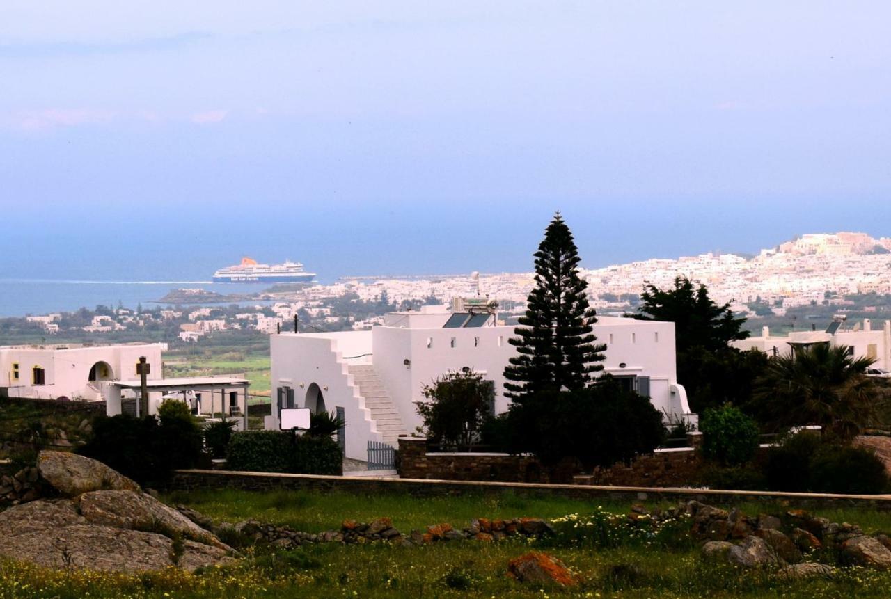 Ktima Panagia Apartment Glinado Naxos Bagian luar foto
