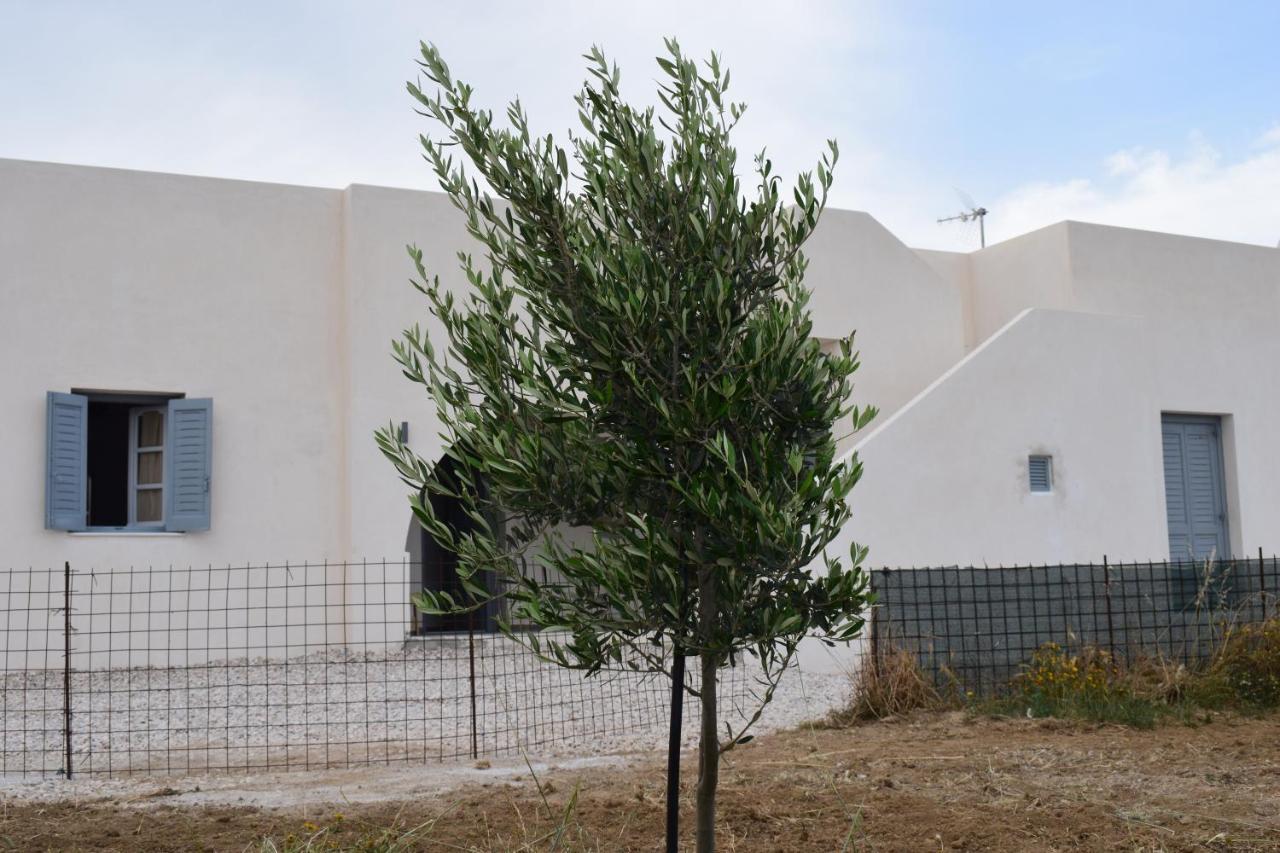 Ktima Panagia Apartment Glinado Naxos Bagian luar foto